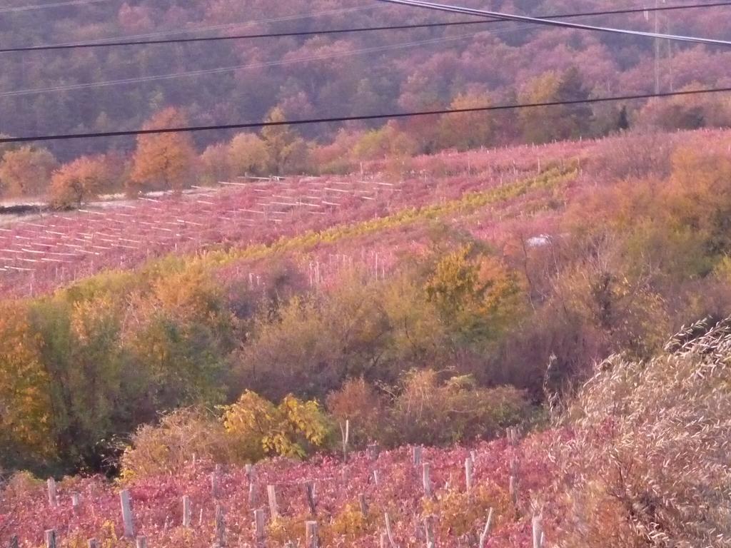 Rozina Vacation House Pliskovica Kültér fotó