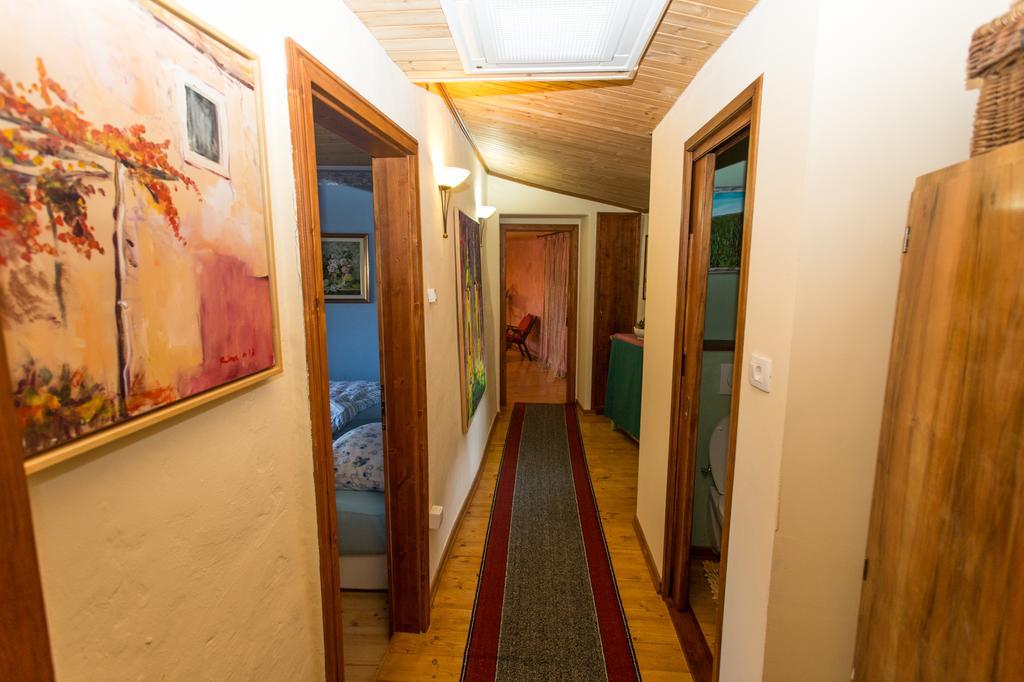 Rozina Vacation House Pliskovica Kültér fotó